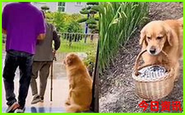 北京免费景点一览表